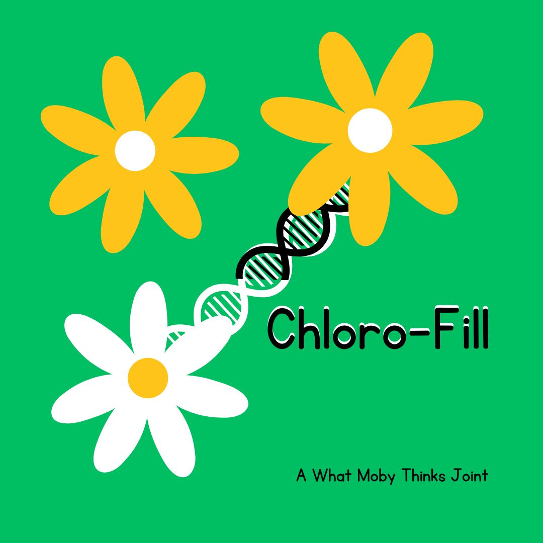 Chloro-Fill