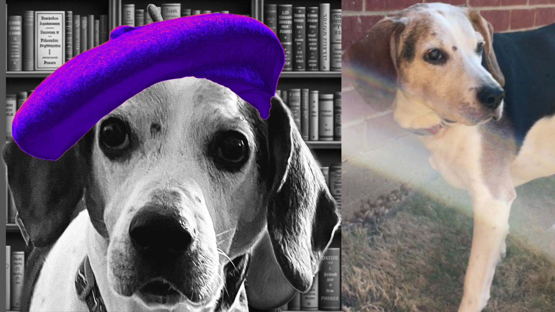 Moby, Editor-in-Chief of The Literary Barker