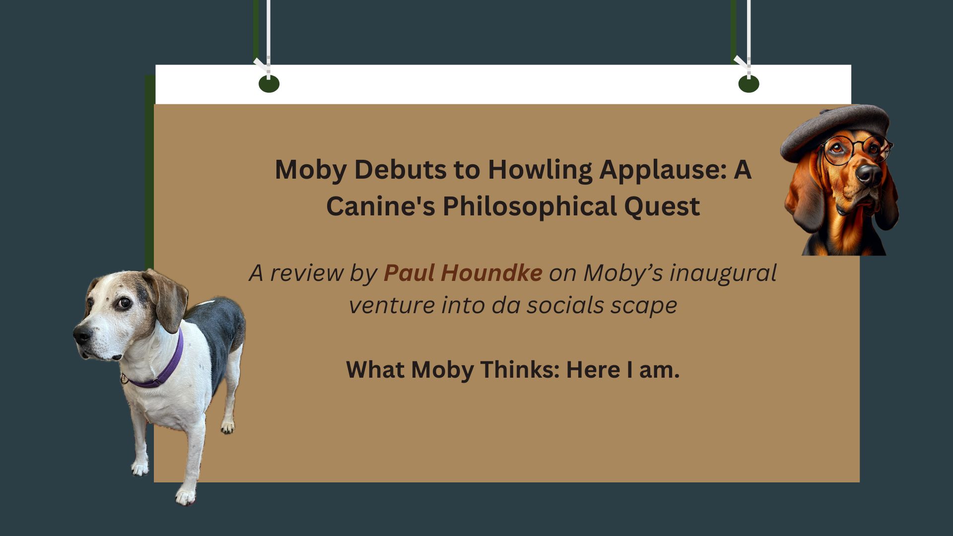 Moby Debuts to Howling Applause — Review by Paul Houndke